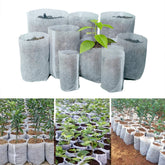 Eco-Friendly Planting Nursery Bag